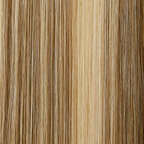 Pecan Praline Easihair Pro Colours